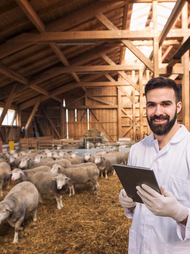 portrait-veterinarian-dressed-white-coat-with-rubber-gloves-standing-sheep-domestic-farm-edited-scaled